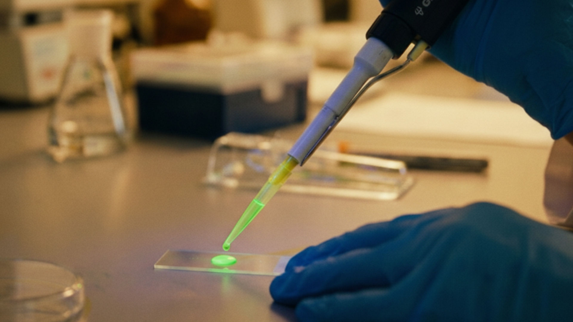 OaCP / investimento / incubazione / diagnostica oncologica