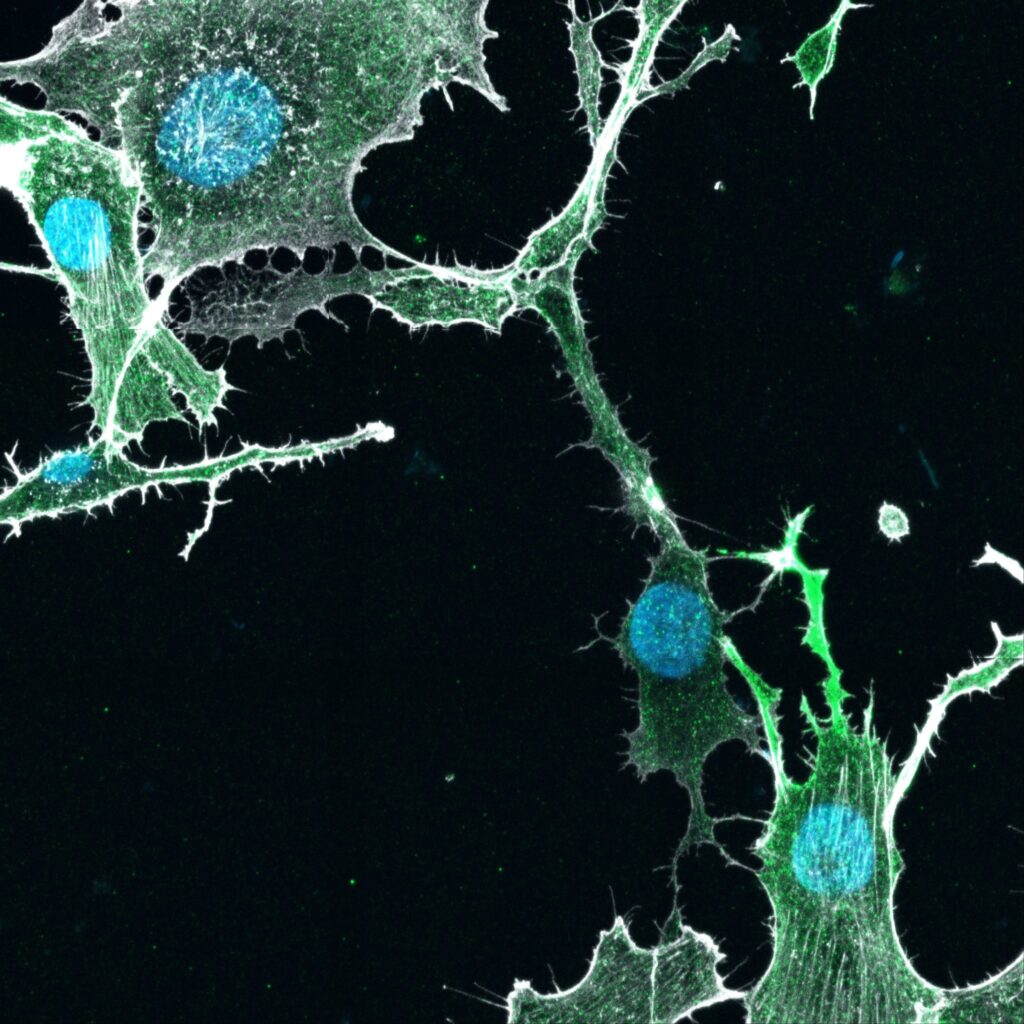 Human Technopole verso una ricerca sempre piú sostenibile e aperta